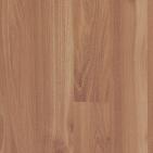 akacie-parena-robinie-917