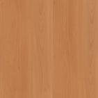 buk-pareny-natur-236