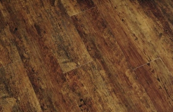 century-oak