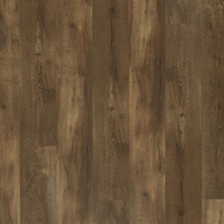 dub-ginger-2206