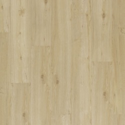dub-poustni-2204