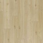 dub-poustni-2220