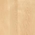 javor-kanadsky-natur-245