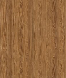 karpatsky-dub-6393a
