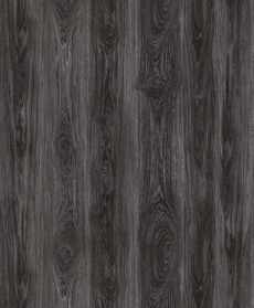 sibirsky-sedy-dub-6502b